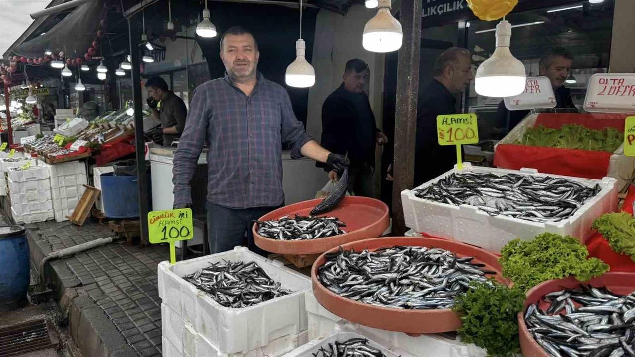 Alaplı’da Hamsi Fiyatları 100 Lira Oldu