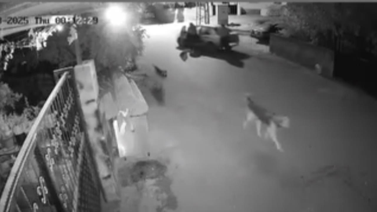 Mersin Tarsus'ta Otomobili İtekleyerek Çaldılar