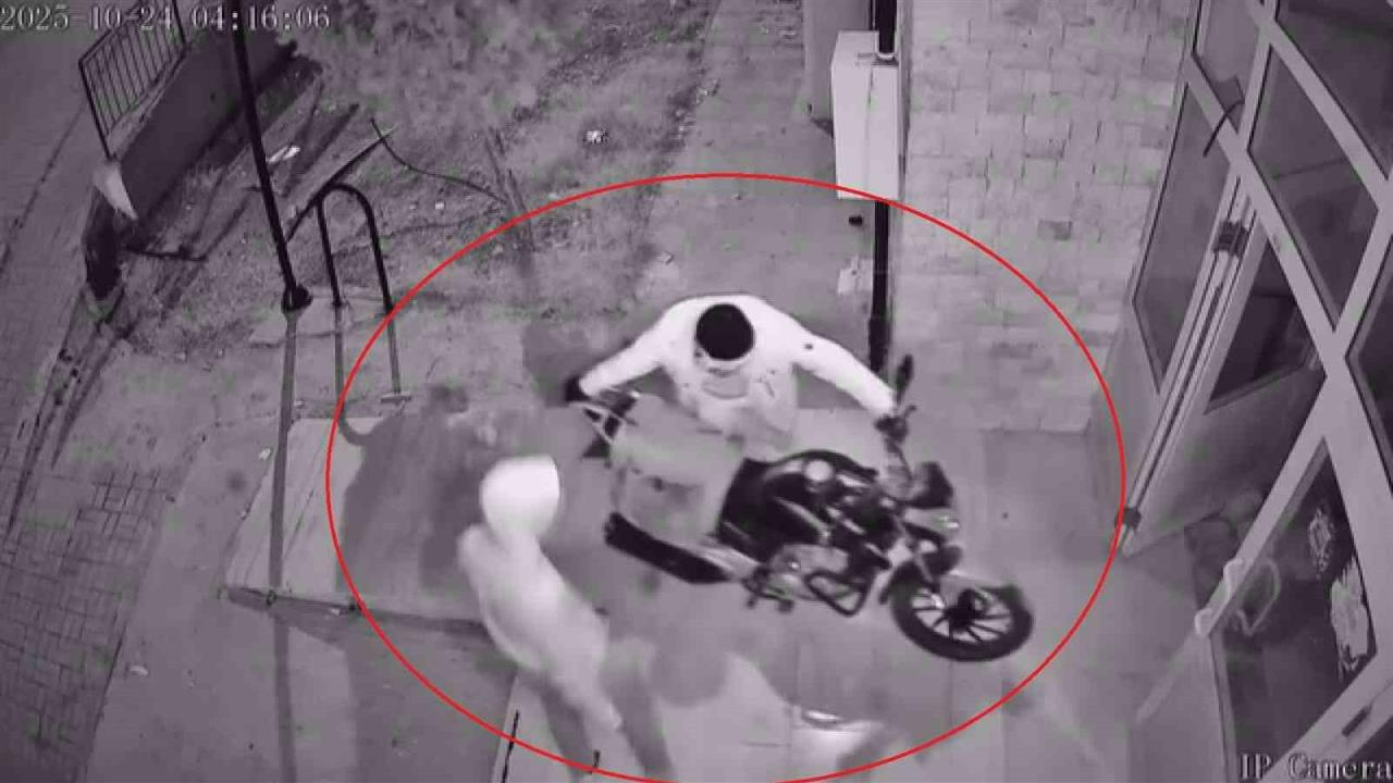 Hatay'da Motosiklet Hırsızlığı: Güvenlik Kamerasında Yer Aldı