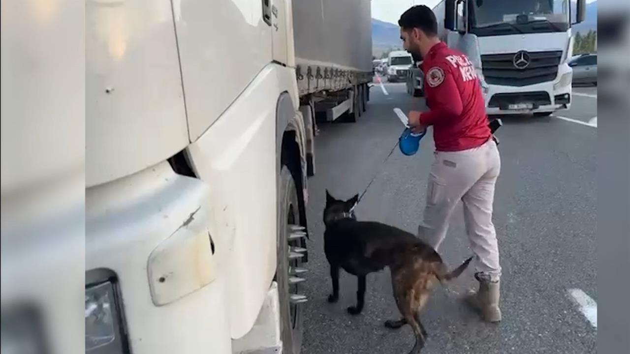 Iğdır'da kaçakçılık ve dolandırıcılık operasyonu: 4 şüpheli yakalandı