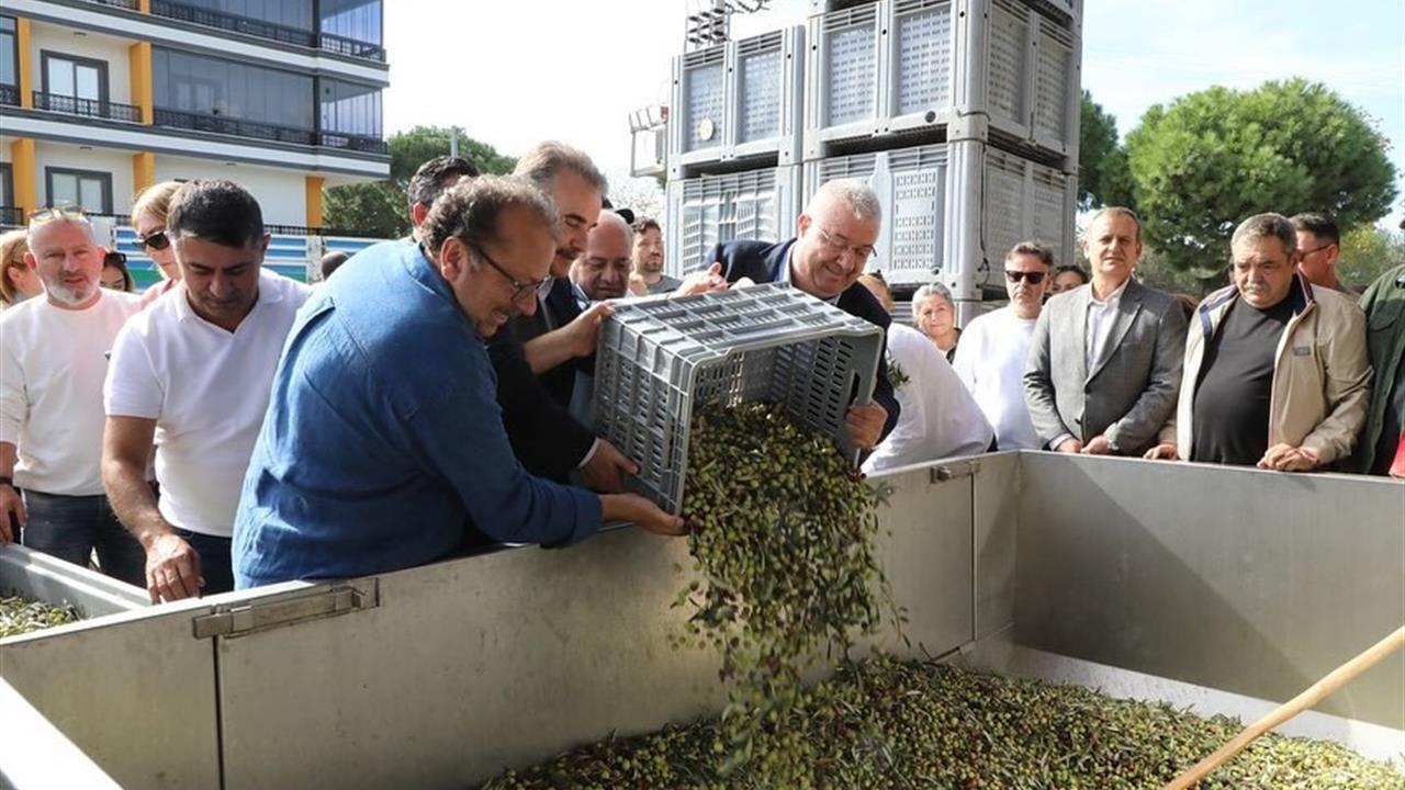 Zeytinyağı kültürü ve tağşişle mücadele - BALIKESİR