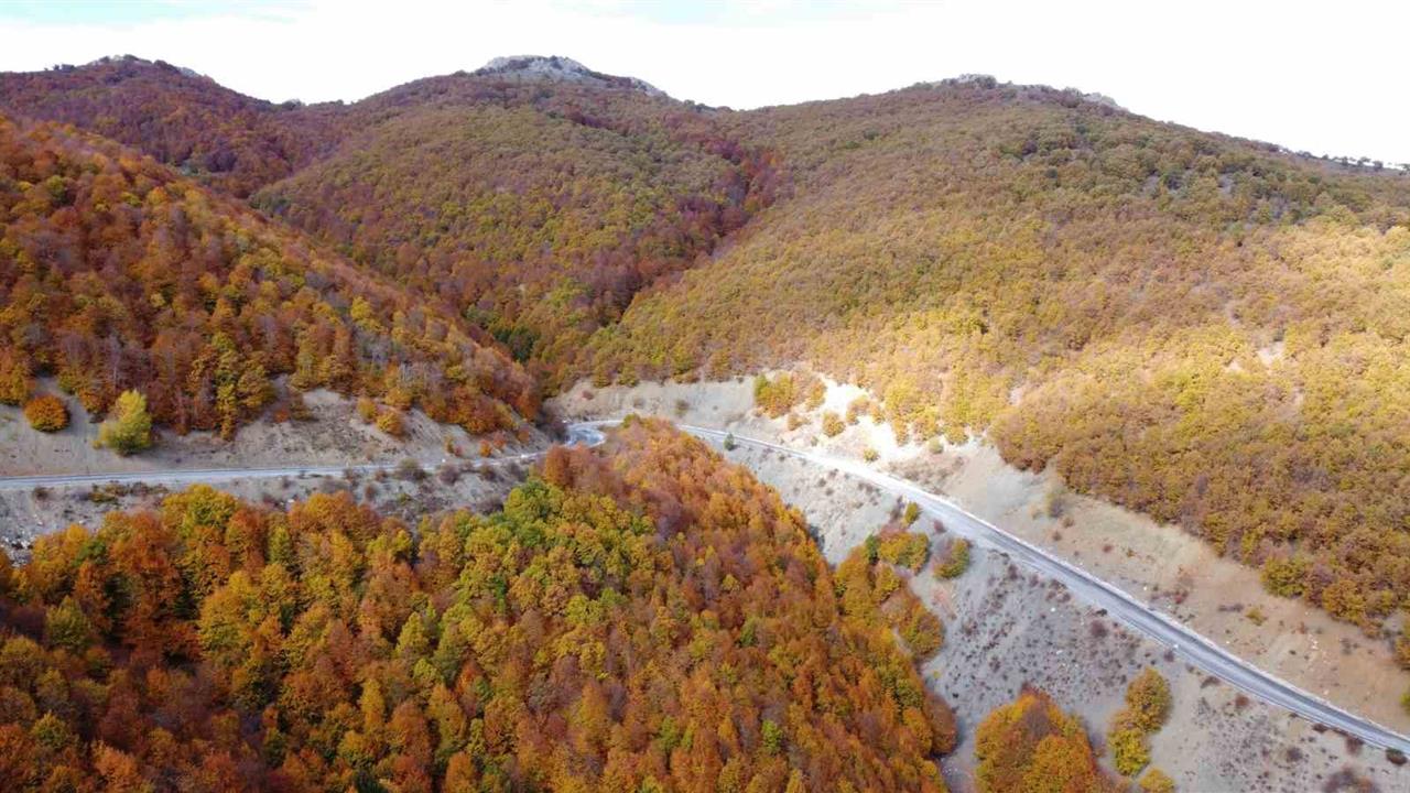 Şebek Geçidi'nde Sonbahar Güzelliği - YOZGAT