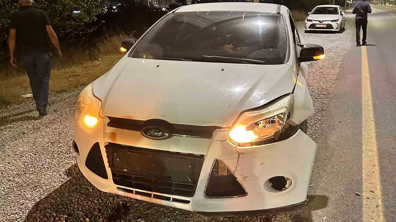 Malatya Yeşilyurt'ta Bir Otomobilin Çarptığı Domuz Telef Oldu