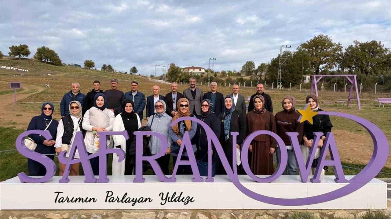 Eski Tarım Bakanı Mehdi Eker, Karabük Safranbolu'da Safran Hasadına Katıldı