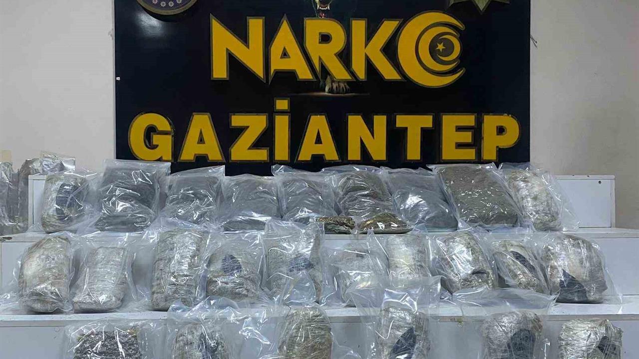 Gaziantep'te Uyuşturucu Operasyonu Sonucu 13 Kilo Skunk Ele Geçirildi