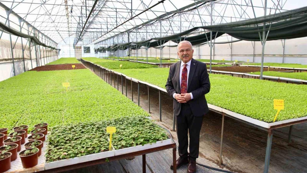 Ordu'da 4 Milyon 600 Bin Fide Dağıtıldı!