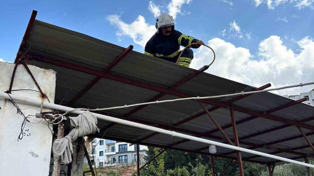 Hatay İskenderun'da Eve Giren İki Yılan İtfaiye Tarafından Yakalandı