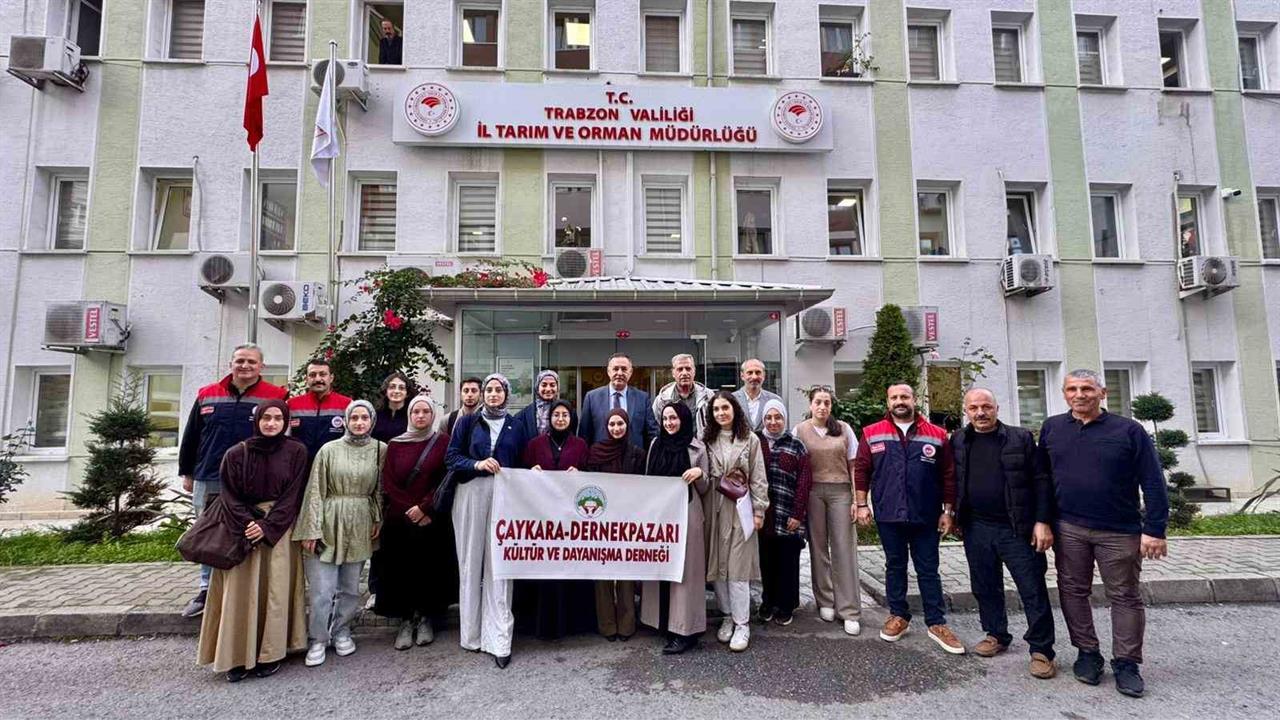 Trabzon Çaykara ve Dernekpazarı'nda Kokarca ile Mücadele İçin Gençlerden Destek Geldi