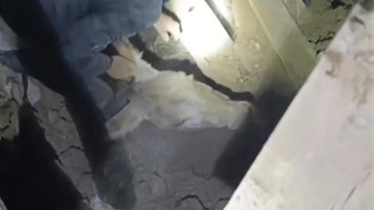 Balıkesir Sındırgı'da Deprem Sonrası Eşek Kurtarıldı