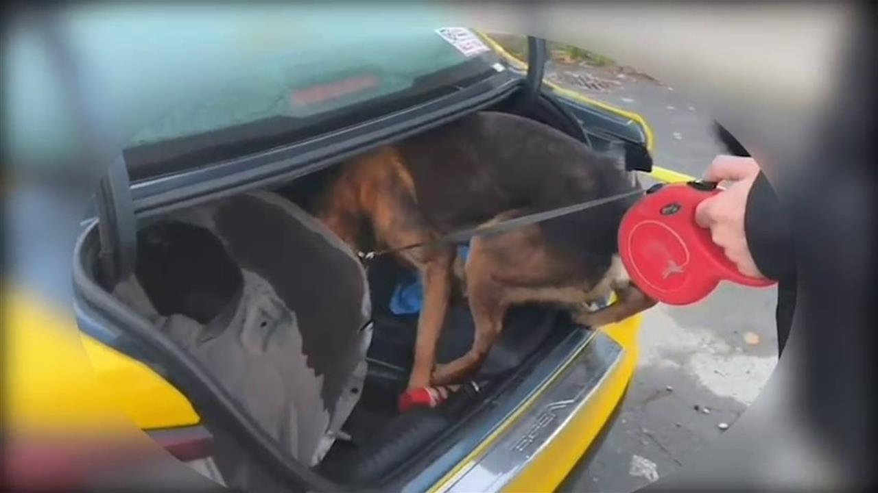 Sakarya Serdivan'da Uyuşturucu ile Yakalanan Şüpheli Tutuklandı