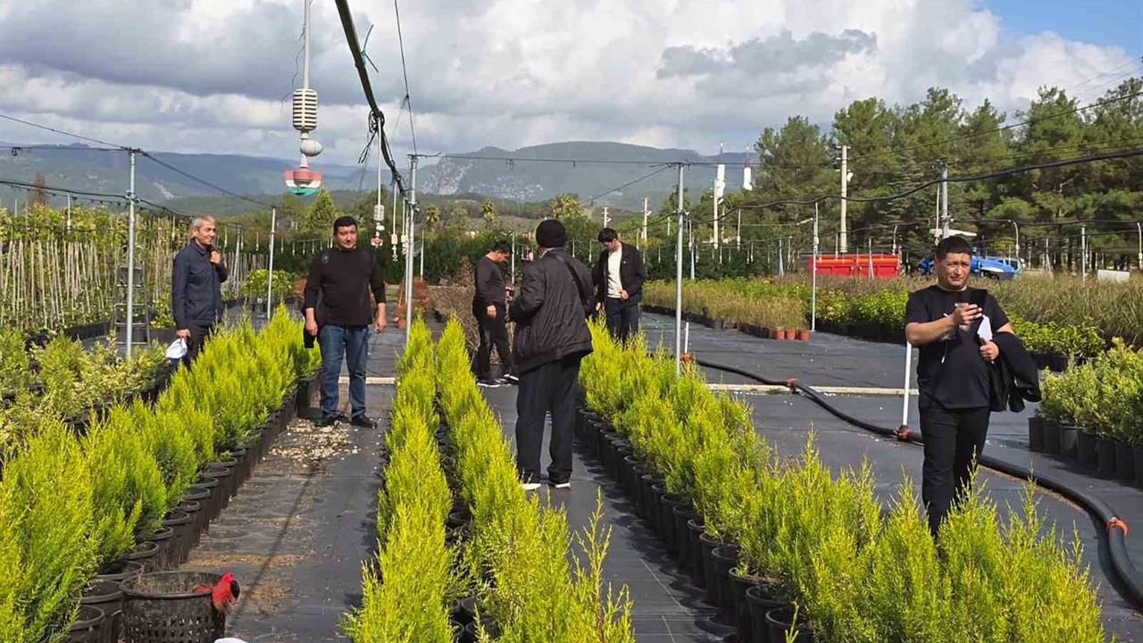 Muğla'da Özbekistan Ekoloji Bakanlığı Ekibi İncelemelerde Bulundu