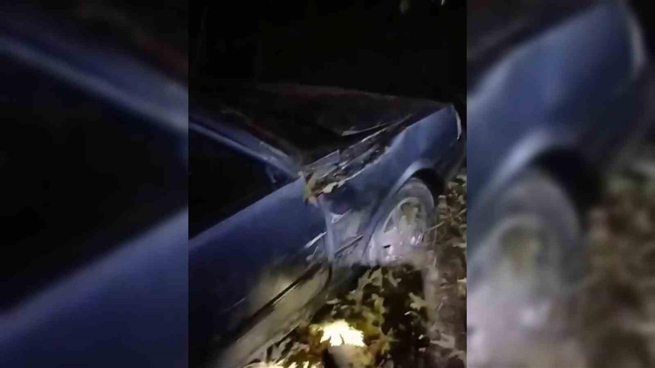 Sinop Ayancık'ta Otomobilin Şarampole Yuvarlanması Sonucu 3 Yaralı