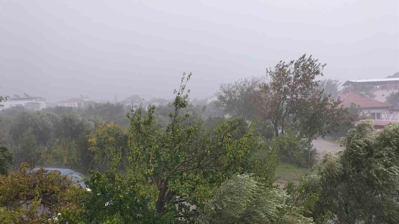 Muğla Köyceğiz'de Sağanak Yağış ve Fırtına Sonrası Zararlar Meydana Geldi