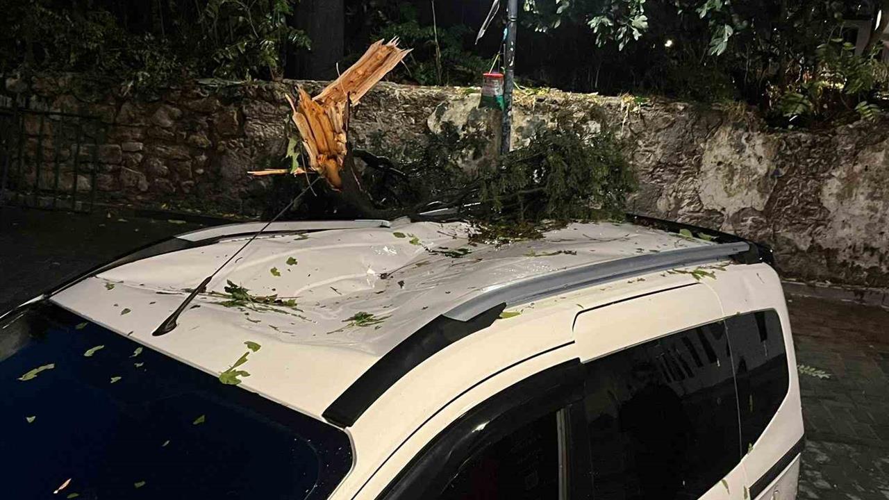 Antalya Muratpaşa'da Fırtına Nedeniyle Ağaç Park Halindeki Aracın Üzerine Düştü