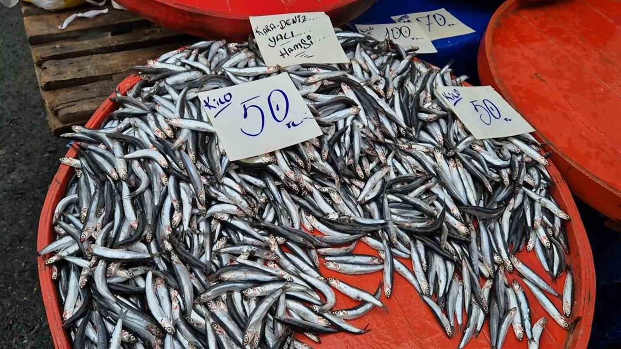 Tekirdağ Süleymanpaşa'da Hamsi Fiyatları 50 Liraya Kadar Geriledi