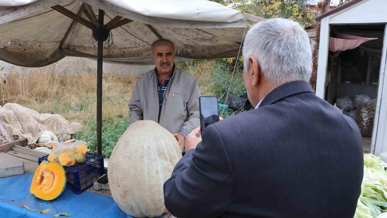 Sivas'ta Bir Çiftçinin Yetiştirdiği 51 Kiloluk Dev Kabak, Vatandaşların İlgi Odağı Oldu