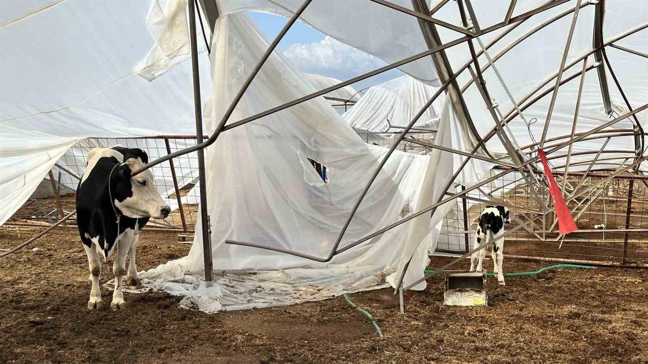 Antalya Serik’te Şiddetli Yağış Sonrası Hasar Tespiti Yapılıyor