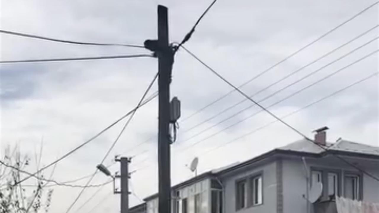 Düzce Merkez'de Sokak Köpeklerinden Kaçarak Telefon Direğine Tırmanan Kedi Kurtarıldı