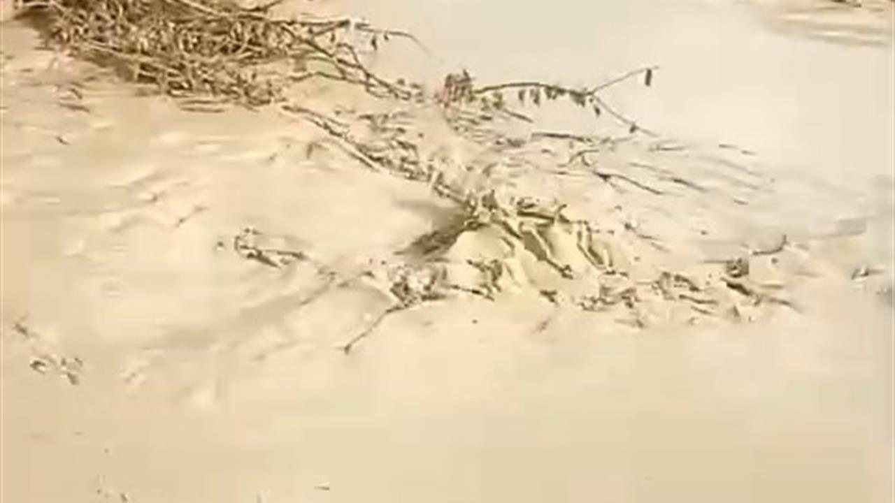 Elazığ Baskil'de Şiddetli Yağmur Sonrası Dereler Taştı