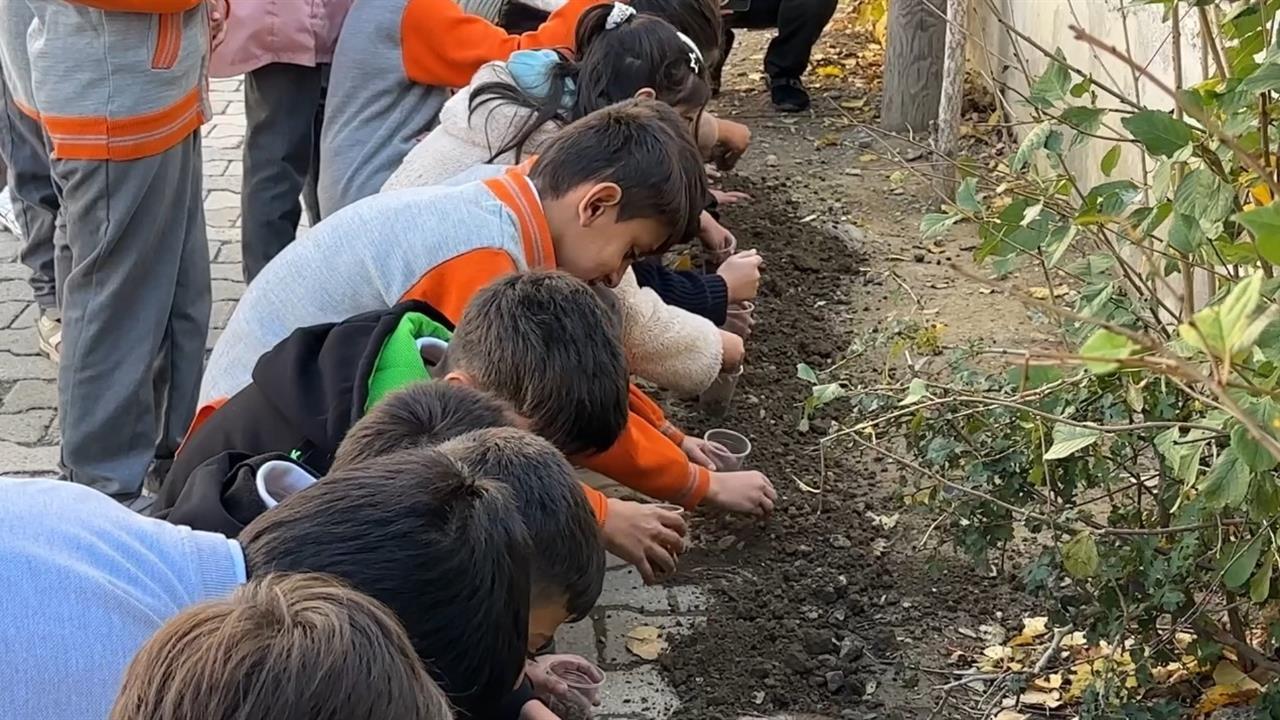 Konya Yüksekova'da Ata Tohumları ve Meşe Palamutları Toprakla Buluştu