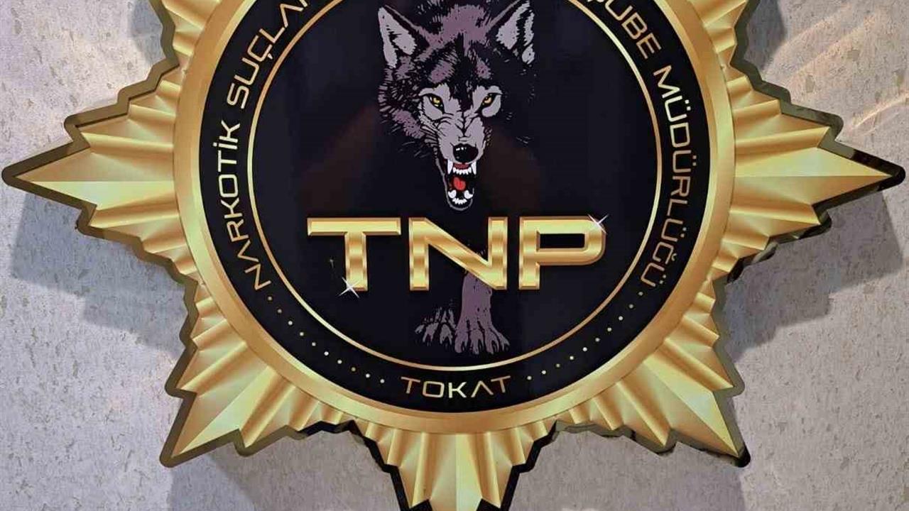 Tokat Merkez'de Uyuşturucu Operasyonu, 500 İçimlik Bonzai Ele Geçirildi