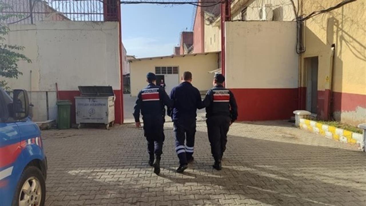 Aydın'da Jandarma Tarafından Yakalanan Kasten Yaralama Suçlusu