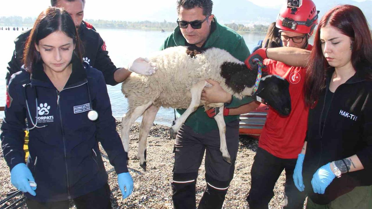 İzmir'de Sel Felaketi Riskine Karşı AFAD Tatbikatı Yapıldı