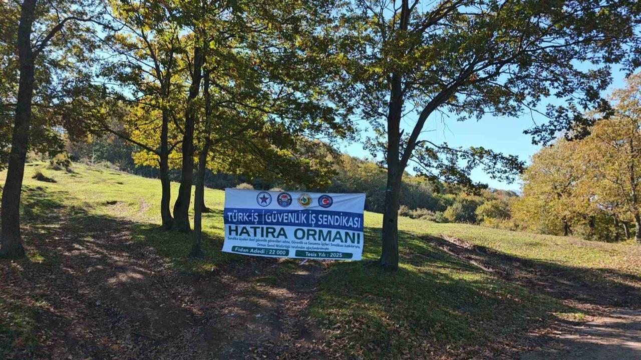 Sakarya Adapazarı'nda 22 Bin Fidan Toprakla Buluştu