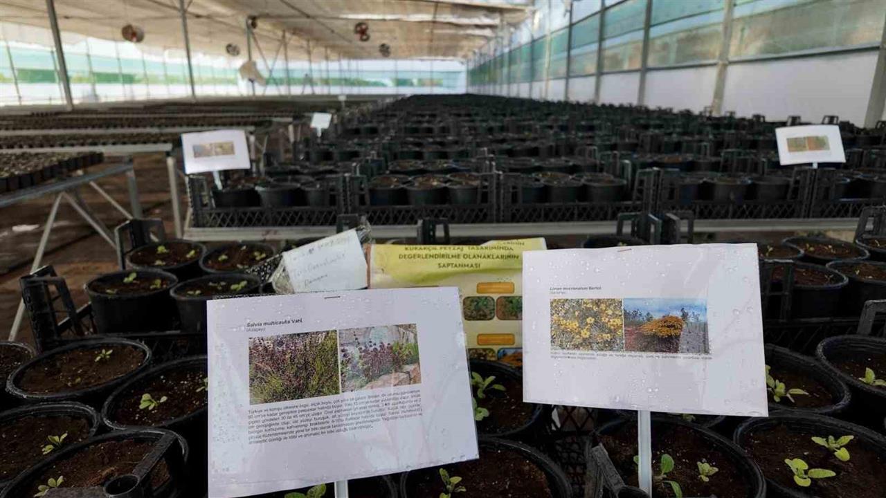Şanlıurfa'da Uygulanan Kurakçıl Peyzaj Projesine Destek Geldi