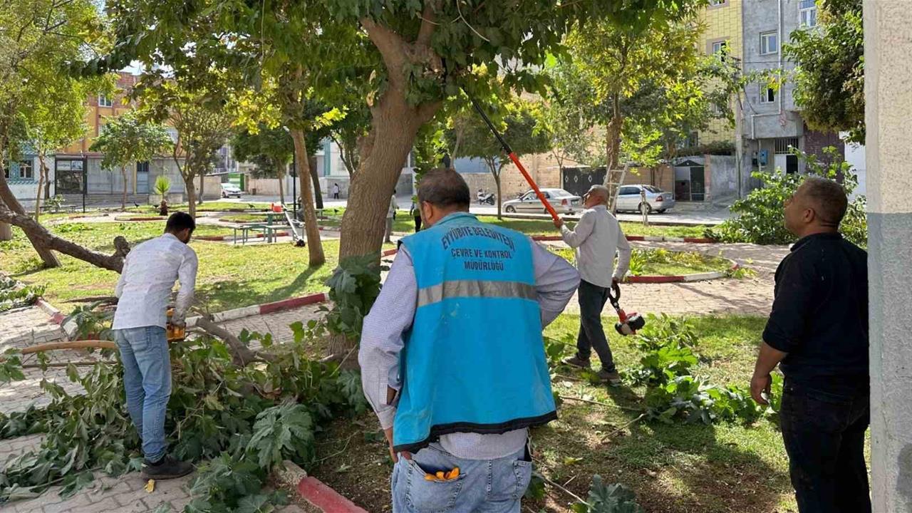 Eyyübiye'de Park ve Yeşil Alanlarda Yenileme Çalışmaları Devam Ediyor