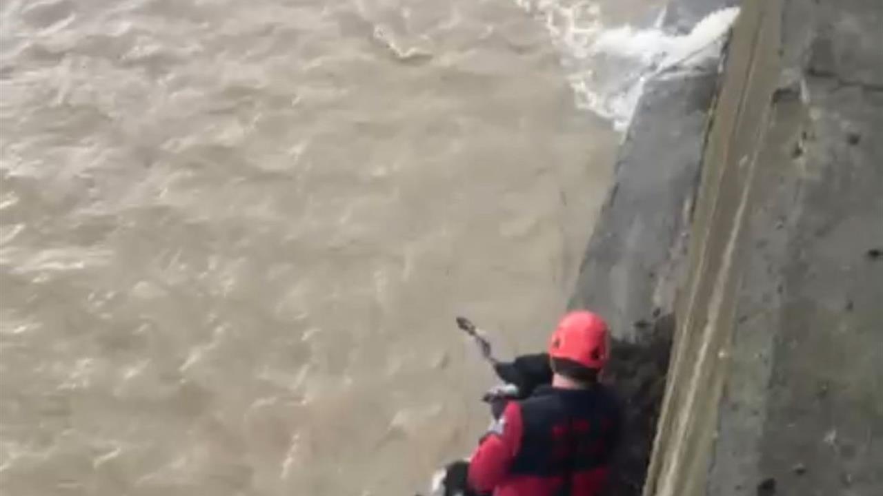 Trabzon Çarşıbaşı'nda Mahsur Kalan Köpek İtfaiye Ekipleri Tarafından Kurtarıldı