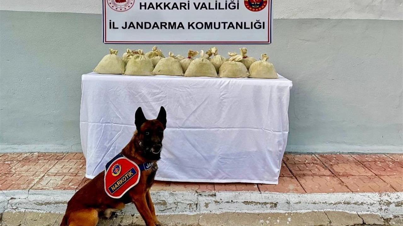 Hakkari Merkez'de Jandarma Ekipleri 15 Kilogram Esrar Ele Geçirdi