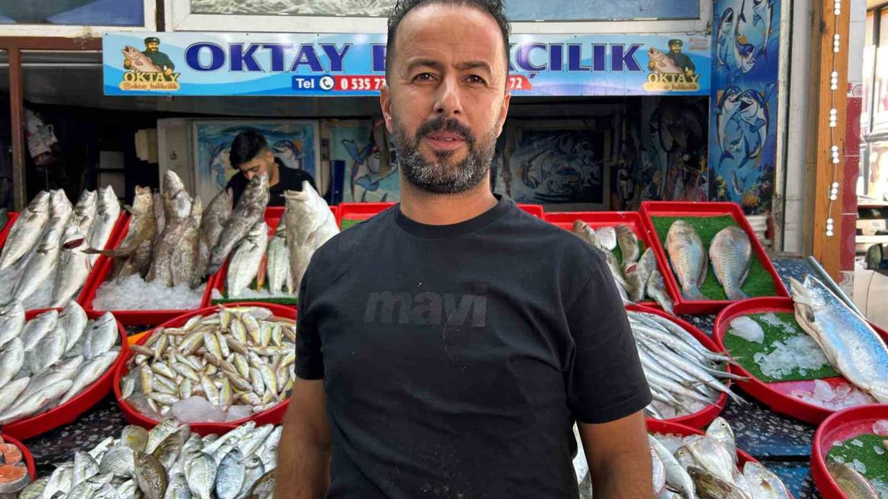 Hatay Dörtyol'da Balıkçılar, Çapa Halatına Dolanan Devasa Köpekbalığı ile Mücadele Etti