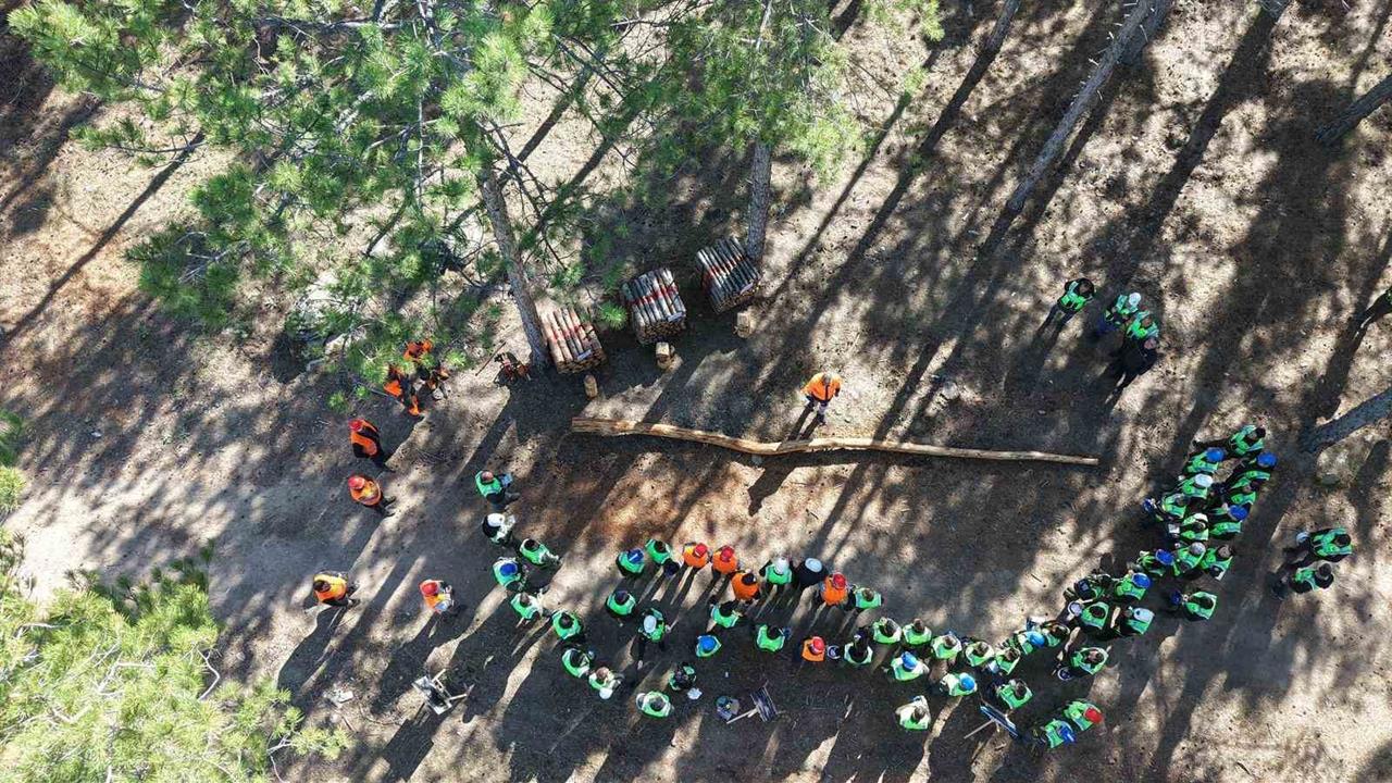 Aydın'da Orman İşletme Müdürlüğü Tarafından Üretim Tatbikatı Düzenlendi