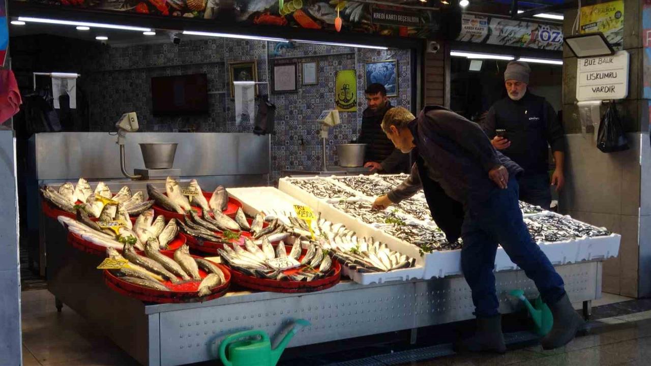 Trabzon'da Palamut Sezonu Başlamadan Sona Erdi, Balıkçılar Umutsuz