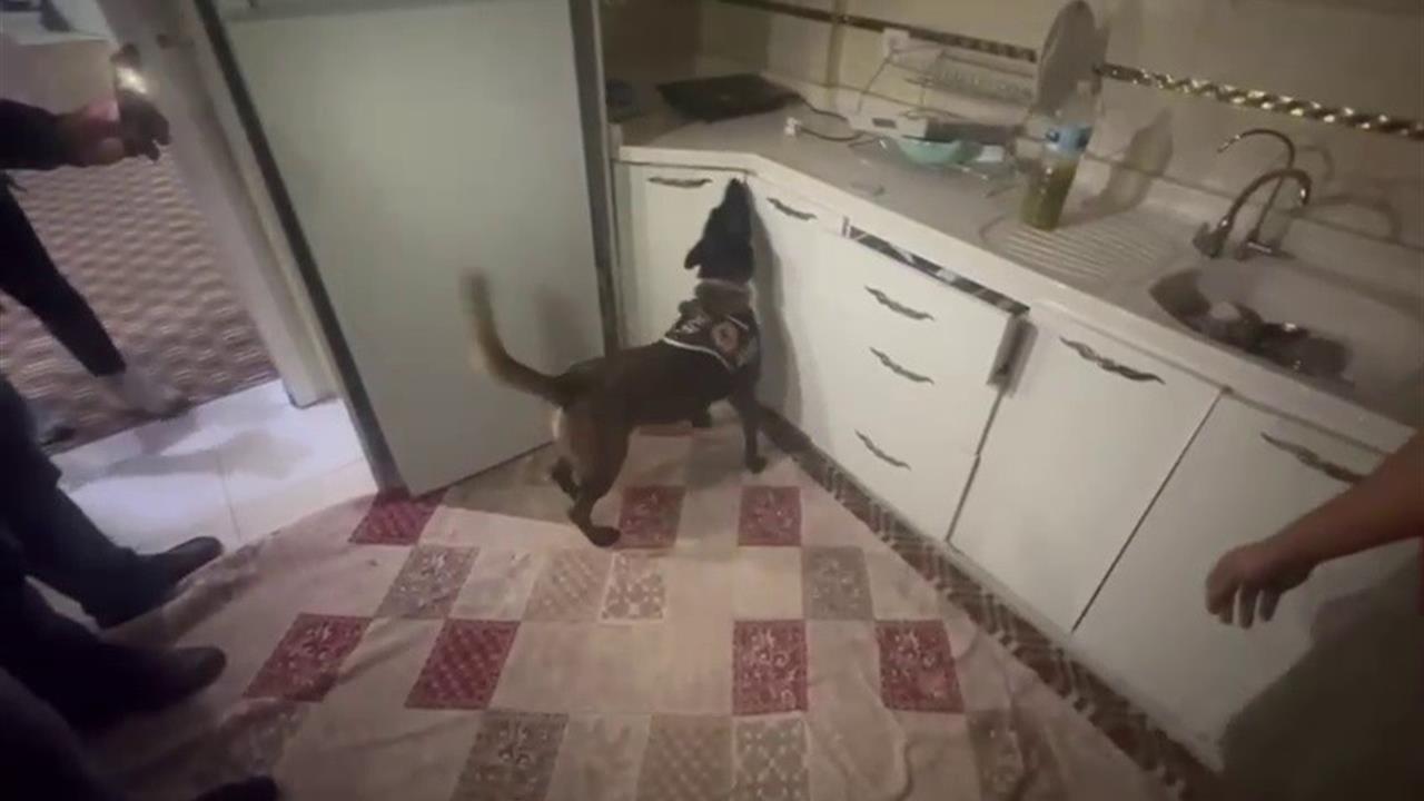 Hatay Reyhanlı'da Narkotik Köpeği Alis, 10 Kilogram Uyuşturucu Buldu