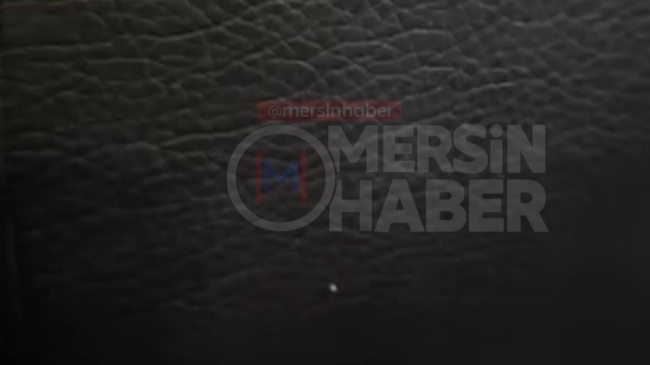 Mersin'de Feribotta Böcek Görüntüleri Tepki Çekti