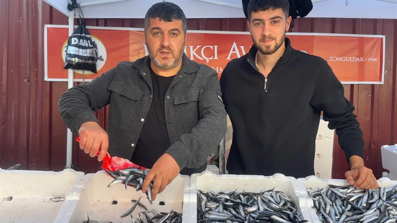 Zonguldak'ta Hamsi Fiyatları Hızla Düşerek 75 Liraya Geriledi