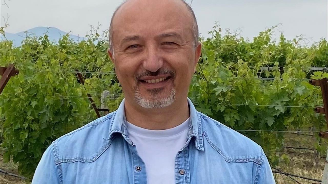 Samsun Merzifon'da Üzümlerin Don Dayanıklılığı Artık Ölçülebiliyor