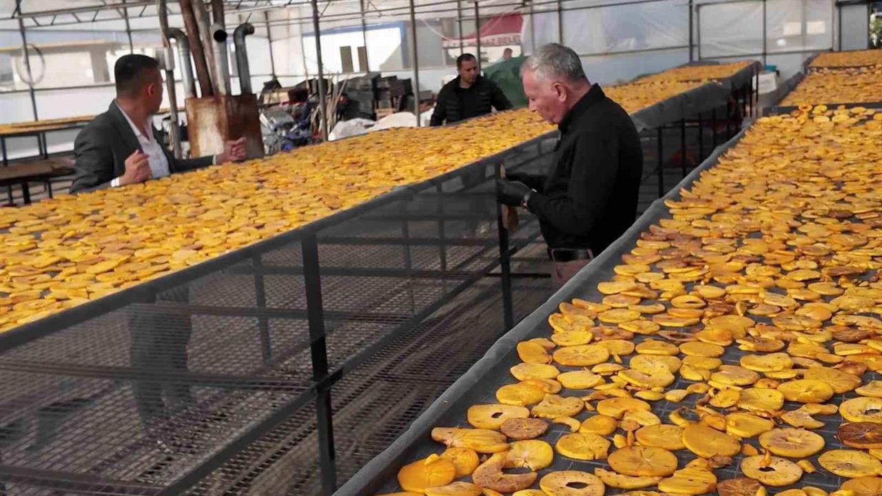 Honaz'da Cennet Hurması Cipsi Projesi ile Üreticilere Yeni Gelir Kapısı Açılıyor