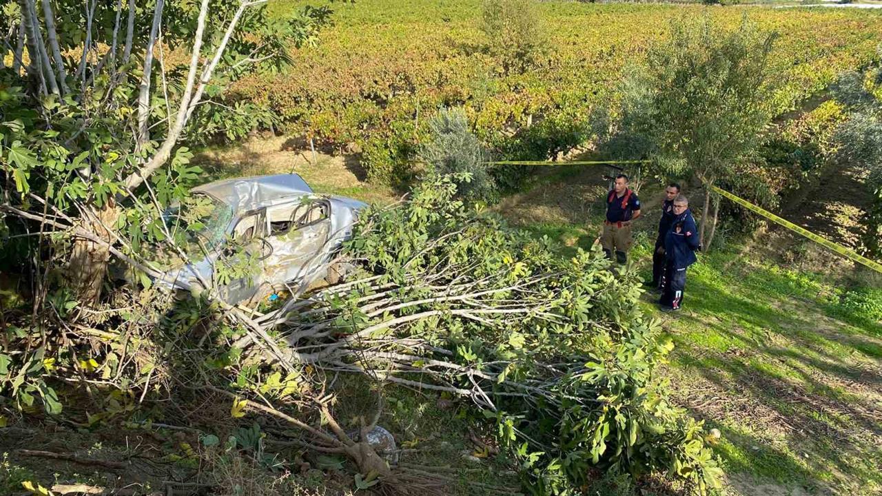 Manisa Sarıgöl'de Kontrolden Çıkan Araç Üzüm Bağında Devrildi
