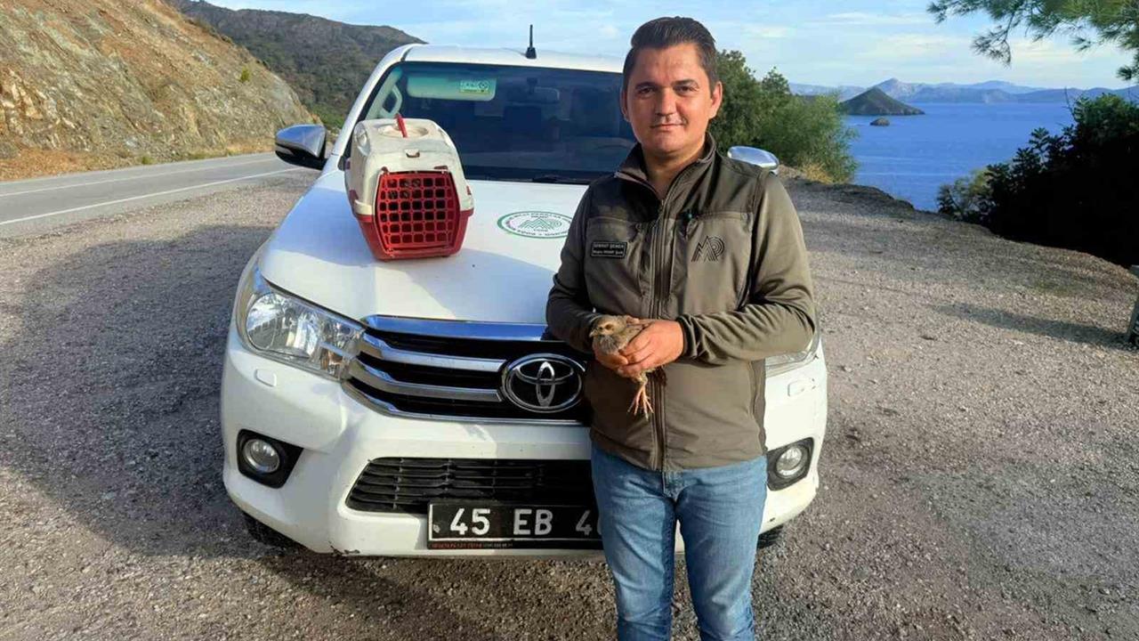 Muğla Datça'da Yasadışı Kınalı Keklik Satışı Yapan Kişiye 28 Bin TL Ceza Verildi