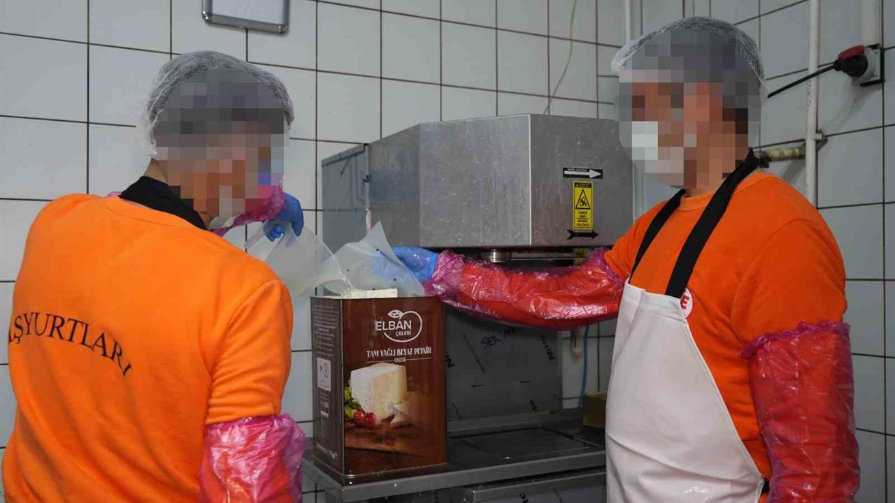 Kırıkkale'de Hükümlüler Ayda 300 Ton Süt İşleyerek Ekonomiye Katkı Sağlıyor