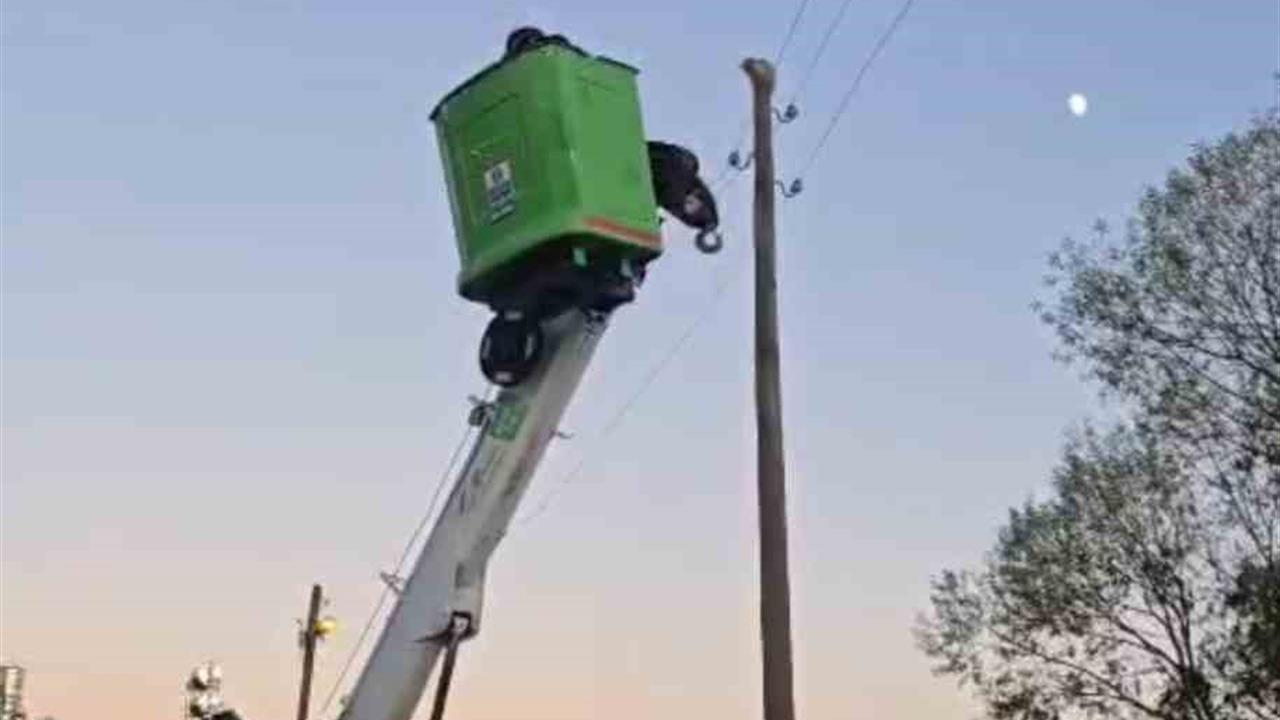 Bingöl Karlıova'da Elektrik Direğinde Mahsur Kalan Kedi Kurtarıldı