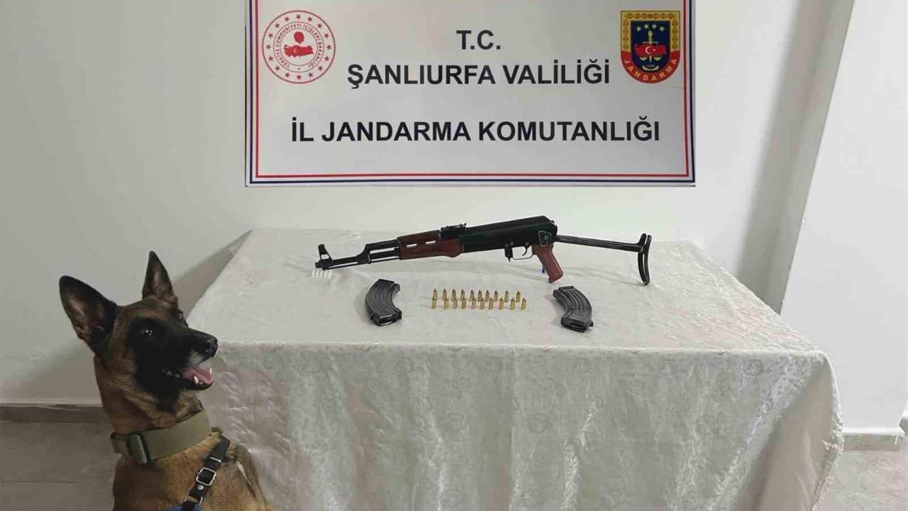 Şanlıurfa Birecik'te Jandarma Tarafından Gerçekleştirilen Operasyonda 1 Gözaltı