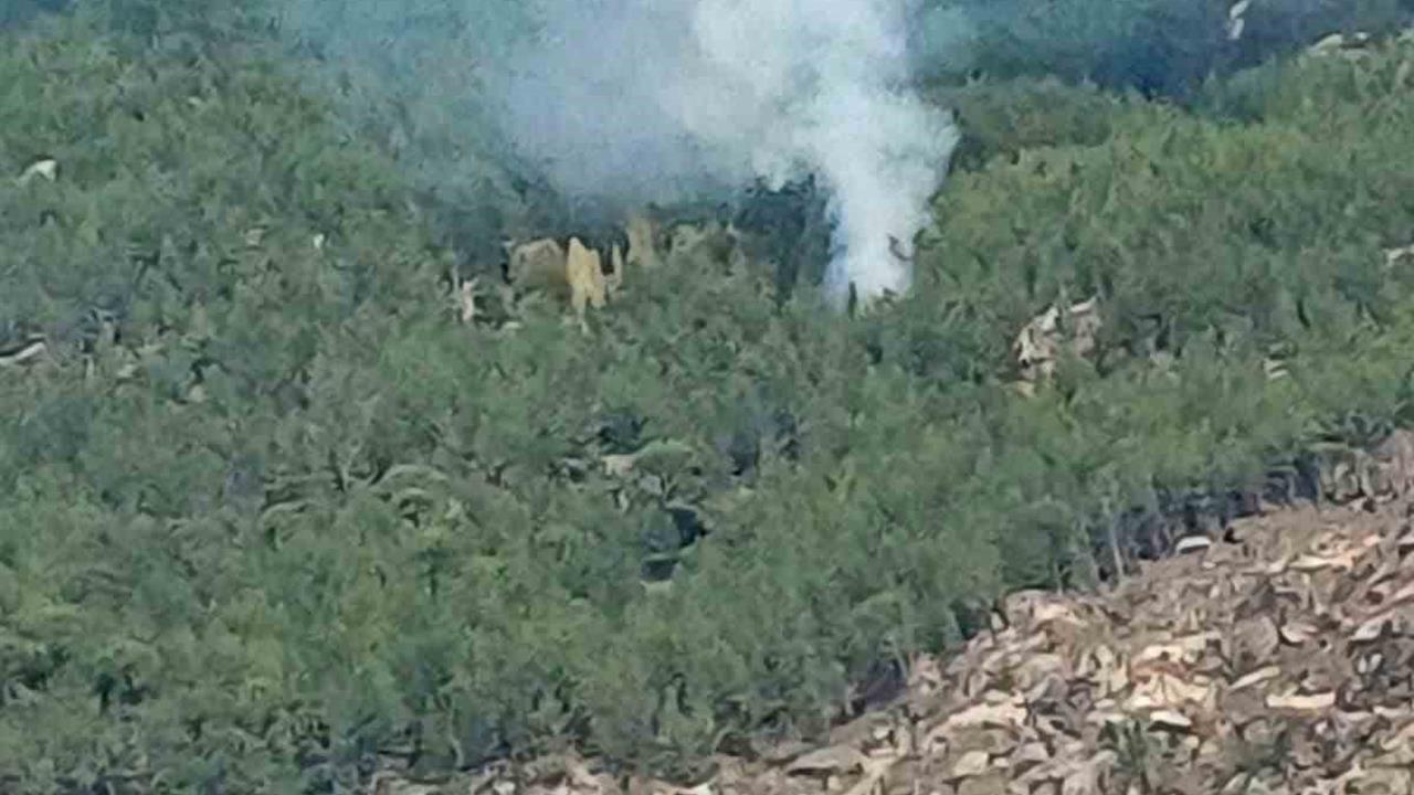 Muğla Kavaklıdere'de Orman Yangını Nedeniyle Ekipler Çalışmalarını Sürdürüyor