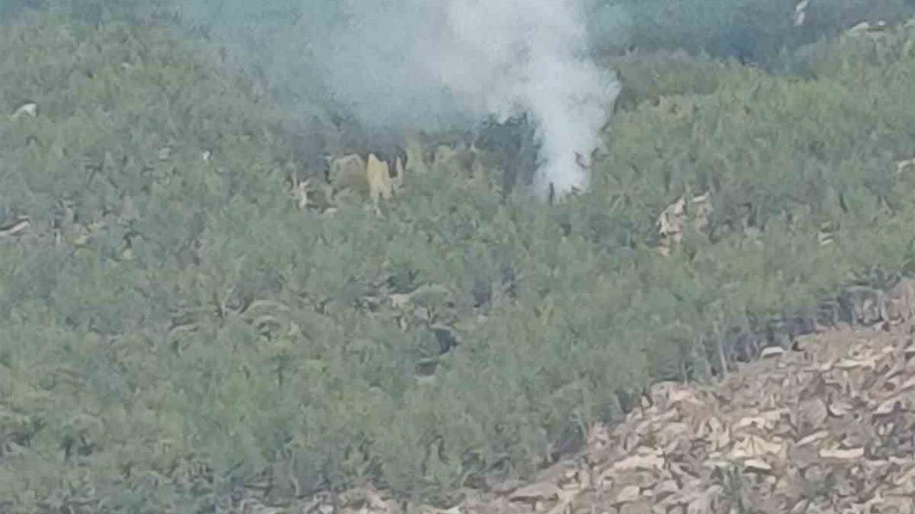 Muğla Kavaklıdere'de Meydana Gelen Orman Yangını Kontrol Altına Alındı