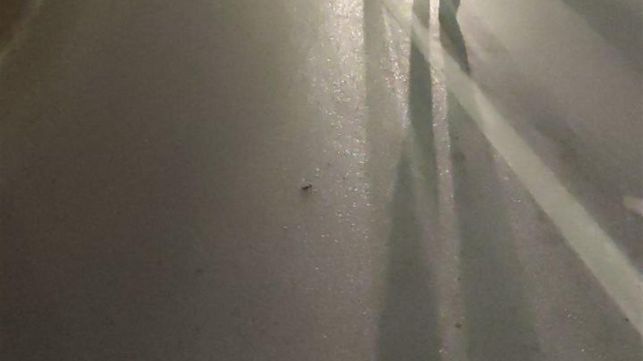 Sakarya Kocaali'de Otomobil ve Motosikletin Çarpışması Sonucu 2 Yaralı