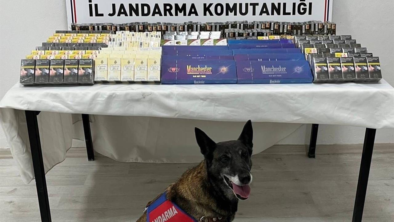Kayseri'de Jandarma Ekipleri Tarafından 500 Paket Kaçak Sigara Ele Geçirildi