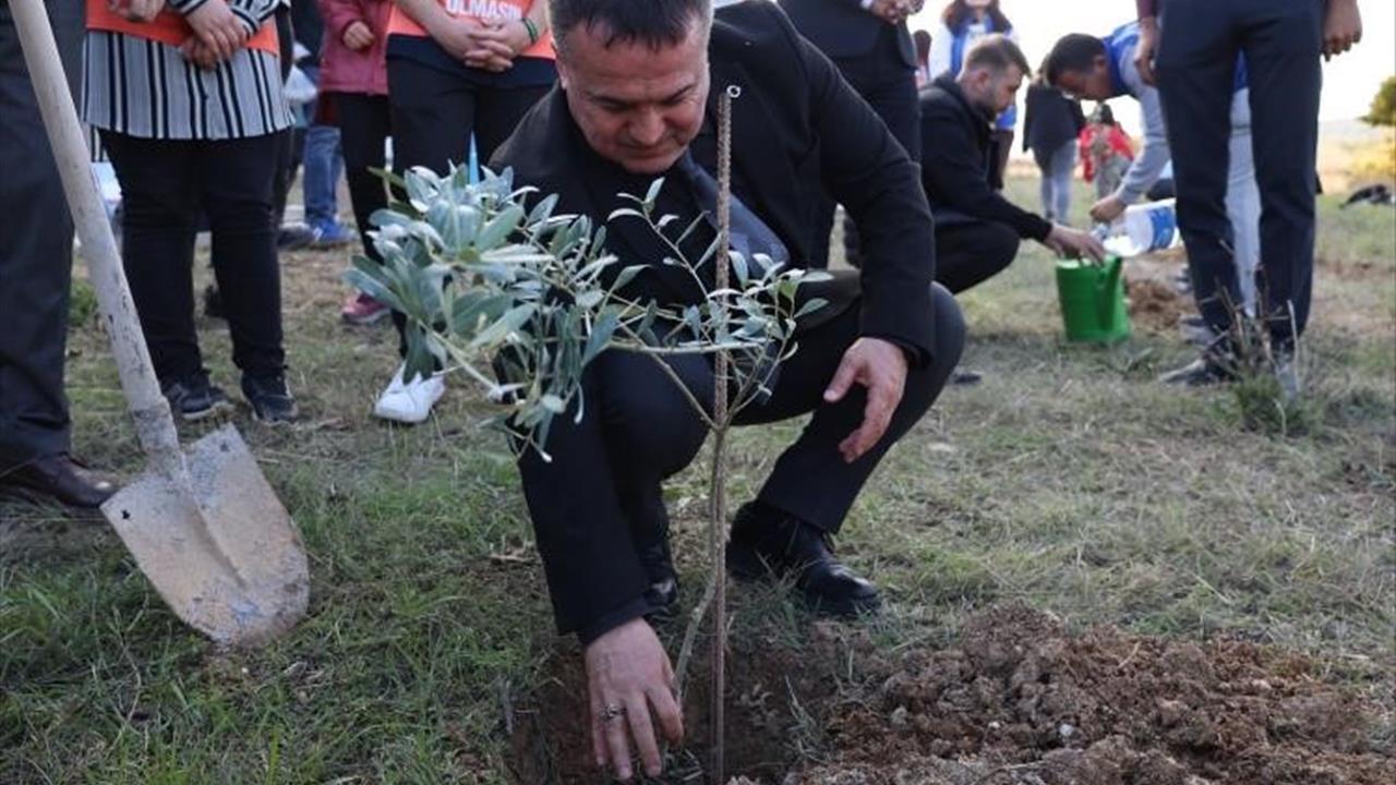 Bilecik Şeyh Edebali Üniversitesi’nde Zeytin Fidanları Toprakla Buluştu